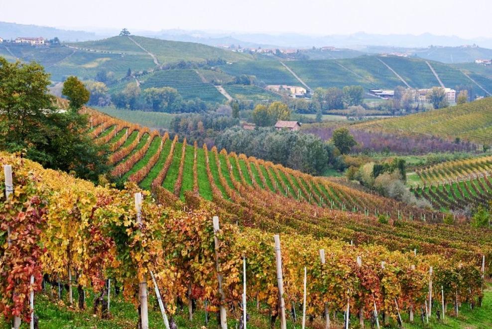 Appartamento Ca' Fola Alba Alba (Piedmont) Exterior foto